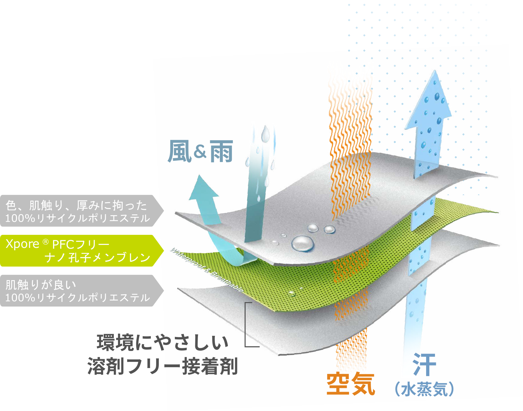 Aboutus Image